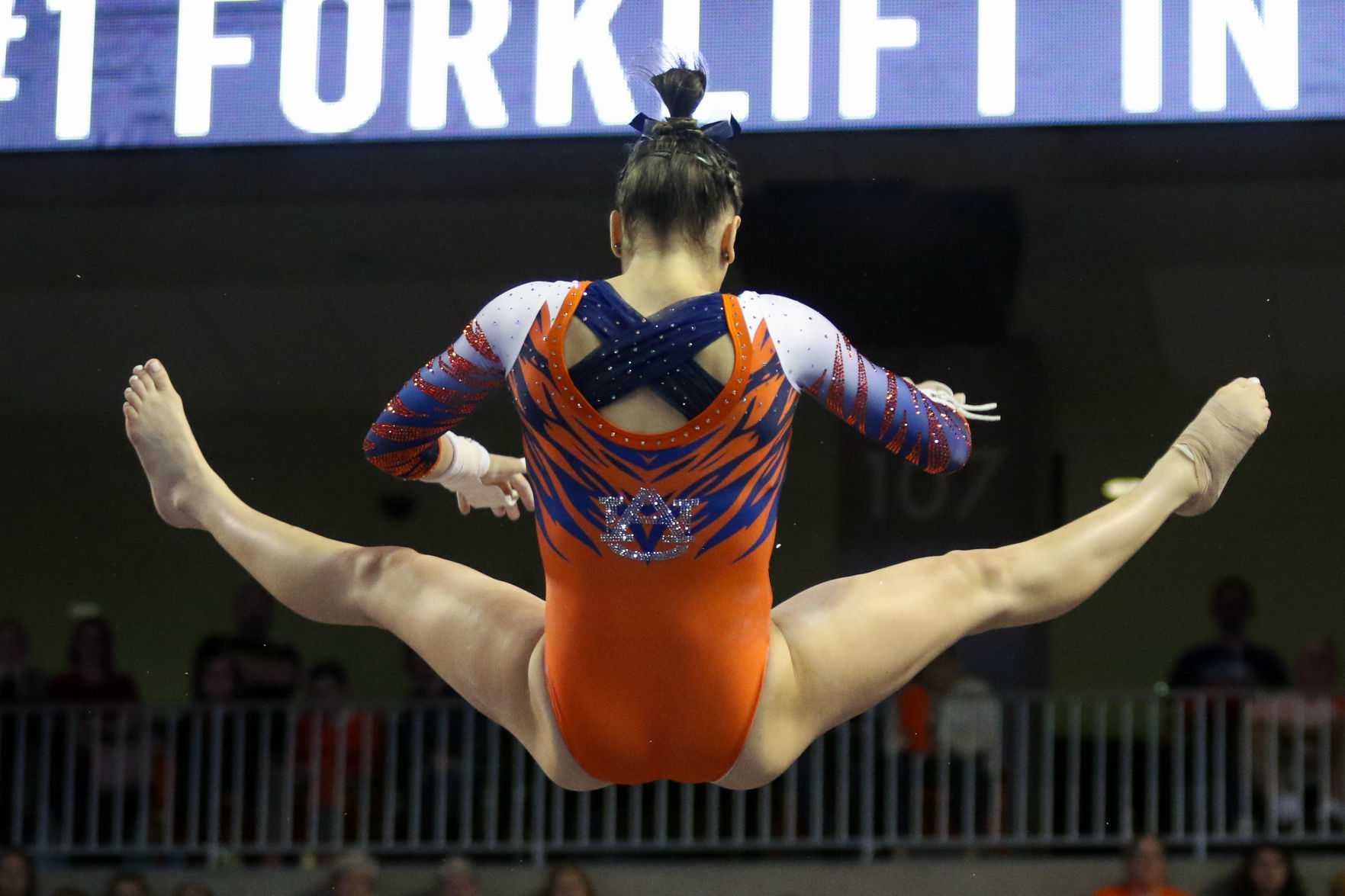 Auburn vs. Alabama gymnastics